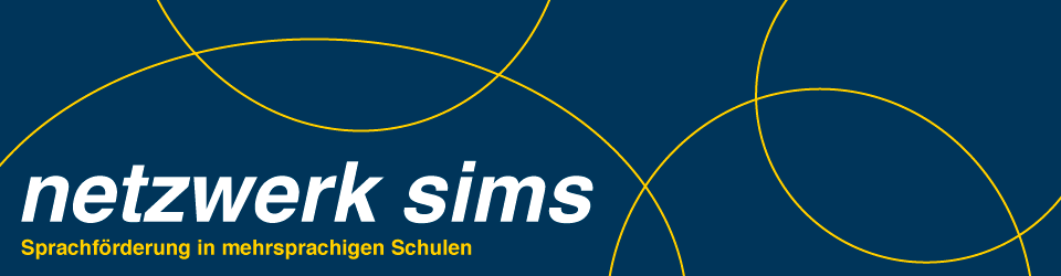 Netzwerk Sims